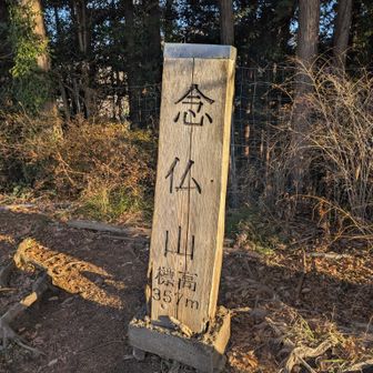 念仏山。こんだけ進んでもまだ標高300m台