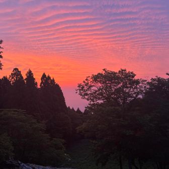 朝焼けが美しい
極彩色とはこのことかー