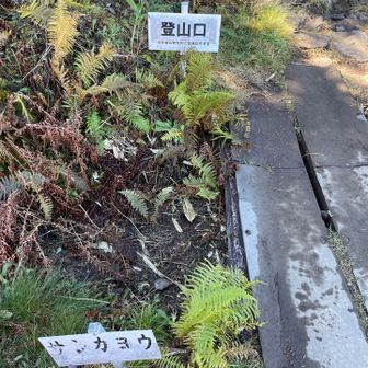 はじめから岩岩岩…
しかも朝露で湿っててちょっと滑る