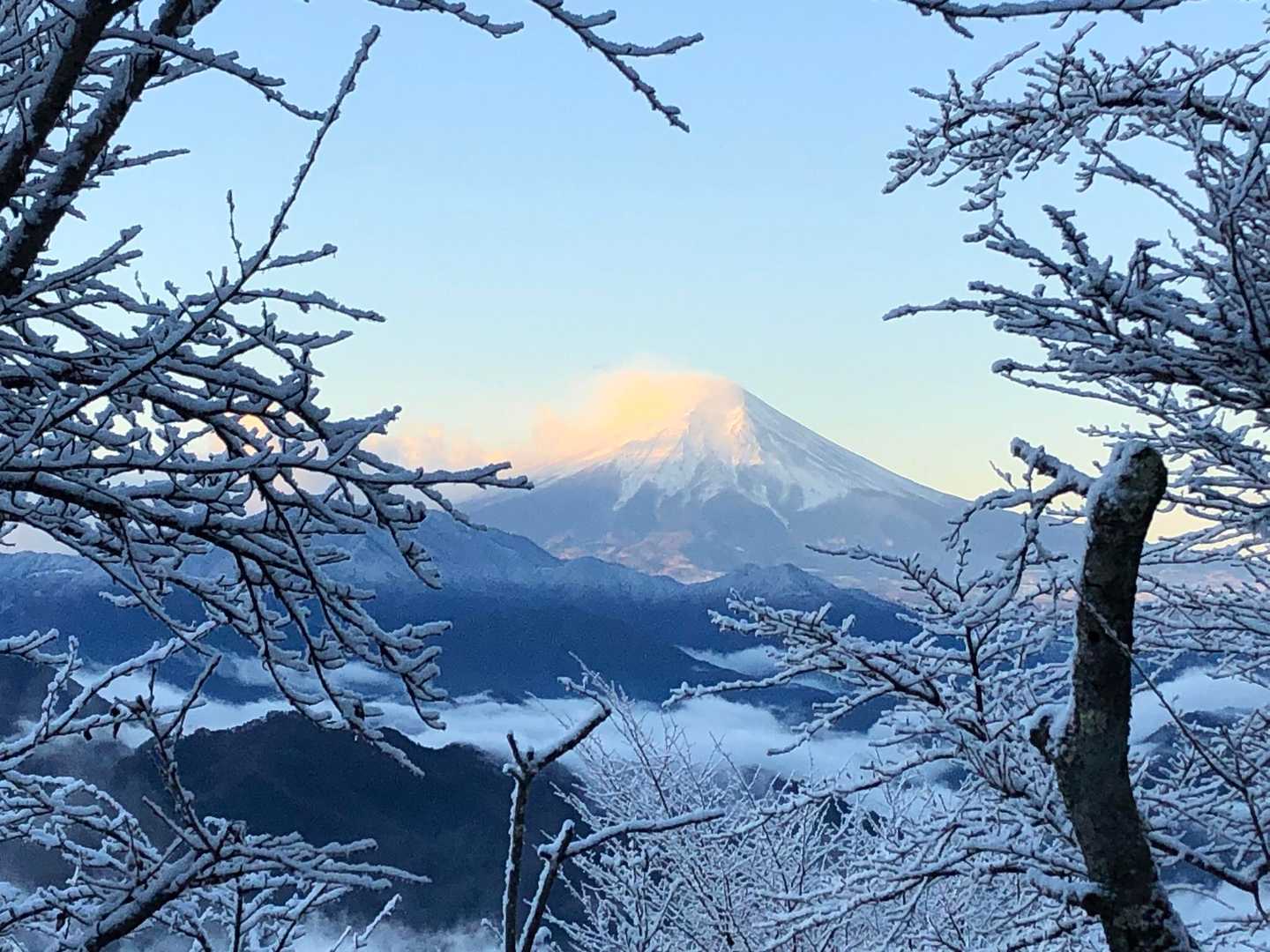 美しい〜✨というか、神々しい✨