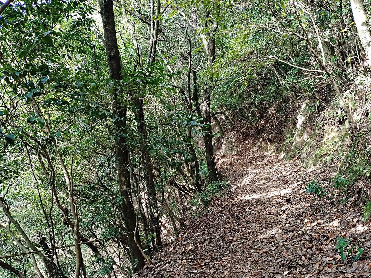 雁回山 往復コースの写真
