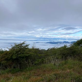代わりに、雲海がすばらしい。