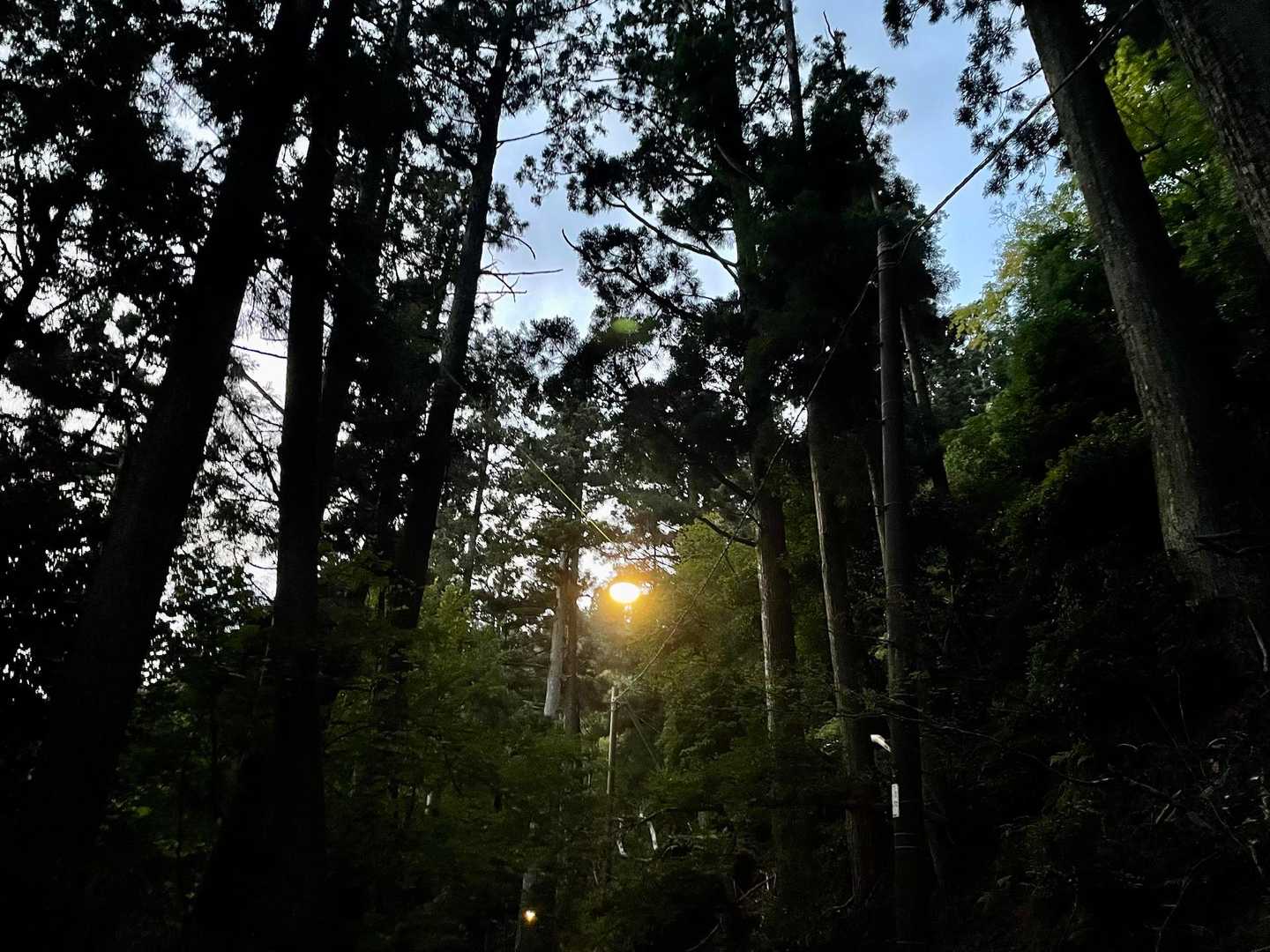 登るペースがほぼ同じだったこともあり、時には掛布さんとお話しながら暗くなり始めた道を登ります。