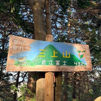 かわいい看板✨整備されてる方のセンスが良いなぁ