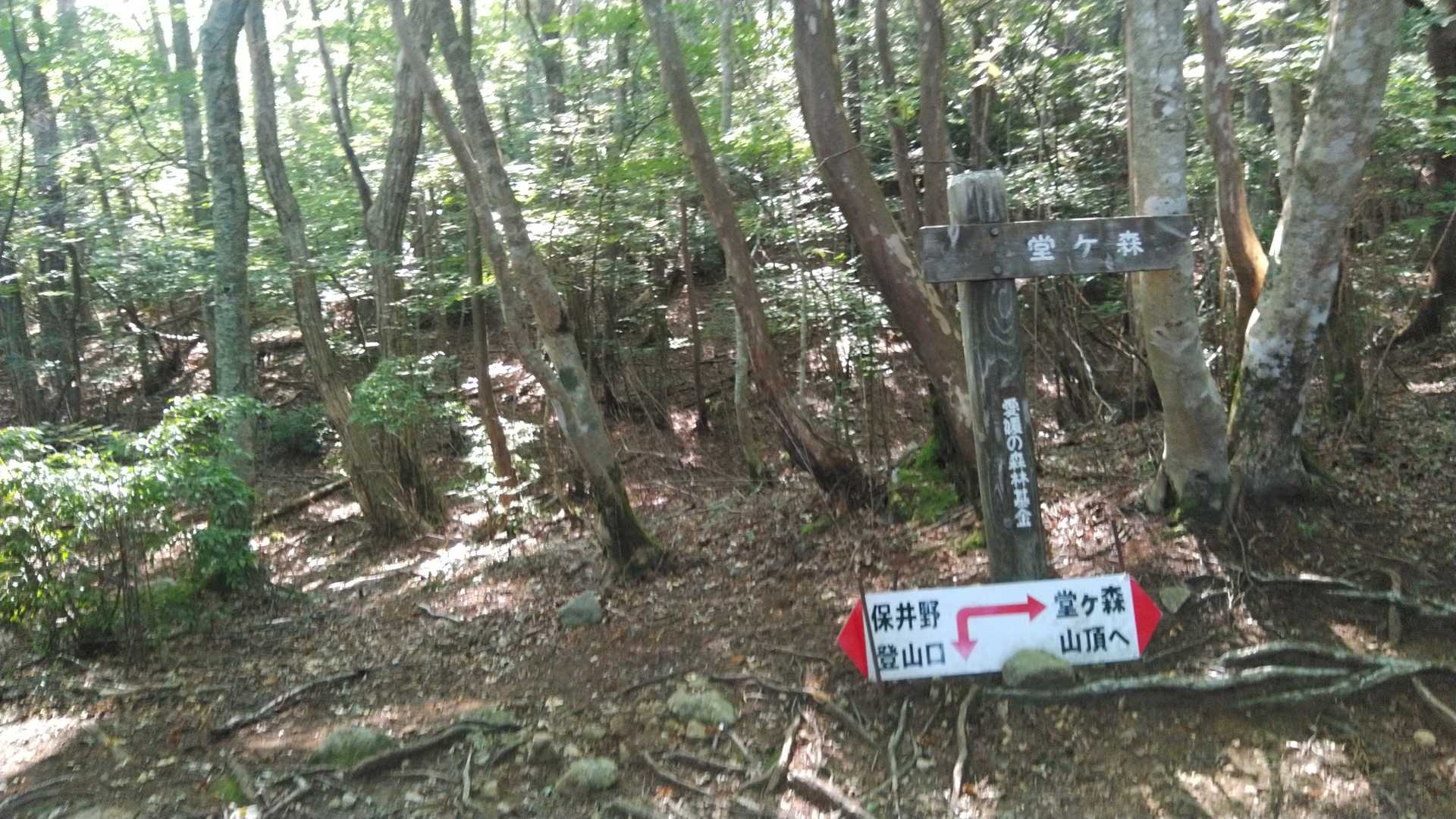 空池到着
