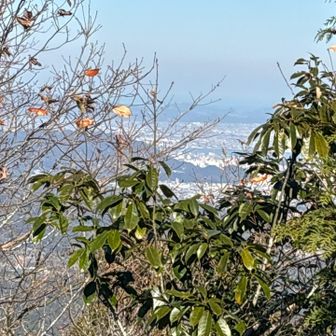 展望台から徳島市内を望む。
５.６年前は眺望が良かったか、今は樹木🌲が伸び視界が妨げられている。😅😥

最初に此処から、眺めた時はその素晴らしさに驚き、チッポケな男が大きな男👨になったと錯覚した。😰💦

私は、アルピニストでもベテランでも無く、自分の身の丈に合った山⛰️歩き🚶‍♀️を楽しもう。😊😘😌
