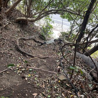 この下が坊津アルプス丸木崎登山口