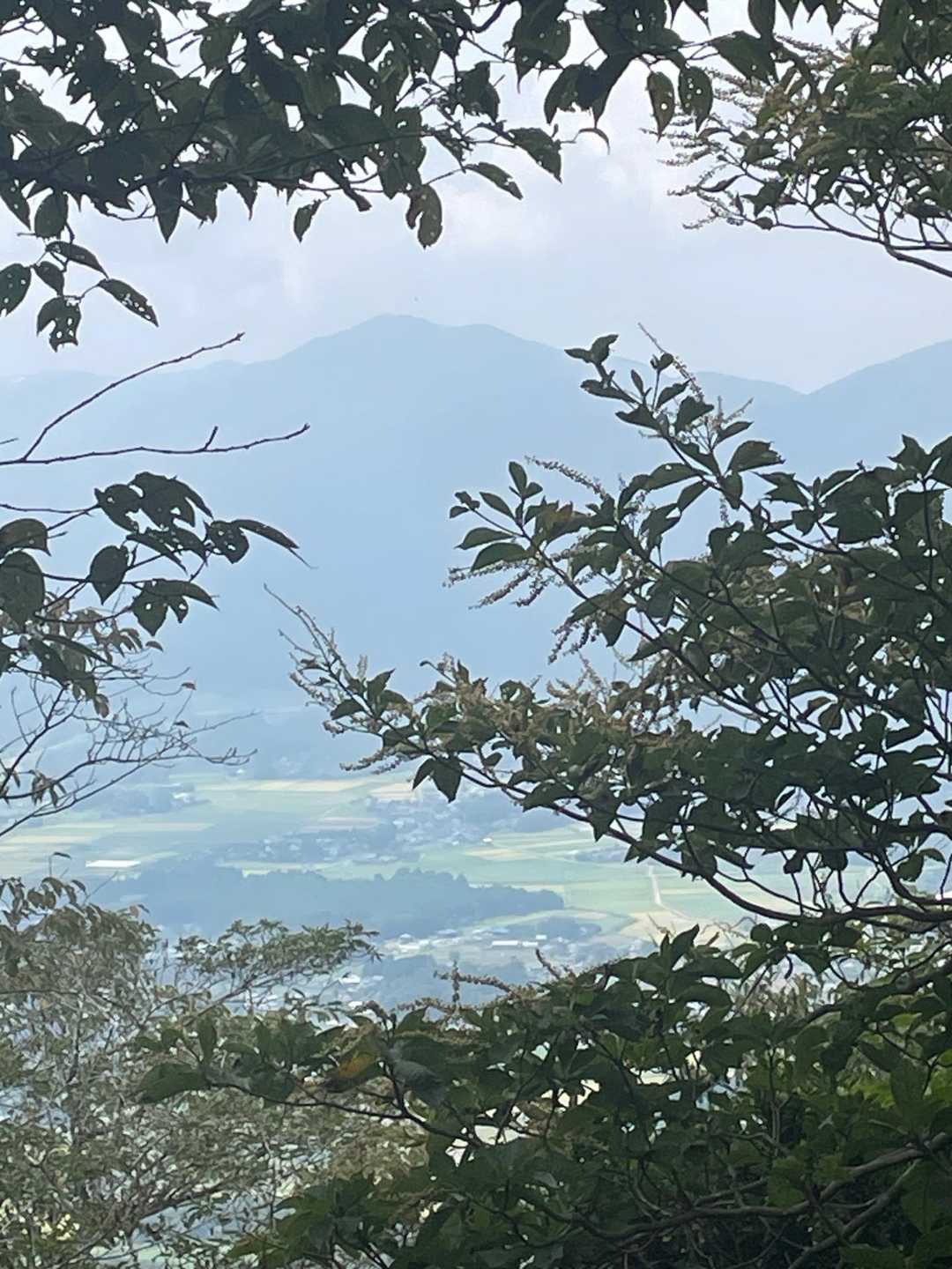 さてさて休憩したので
登ってきた道をピストンで下山します😊