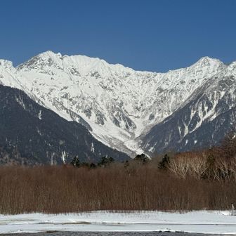 やっぱり青空バックですね〜
