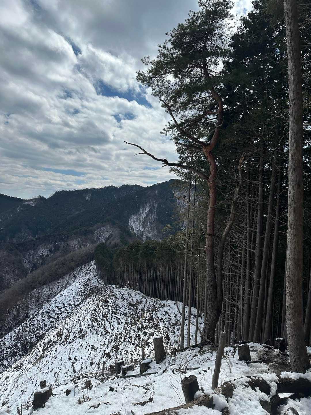 いつもの臼杵から市道
この辺りは気持ちよく走れた😙