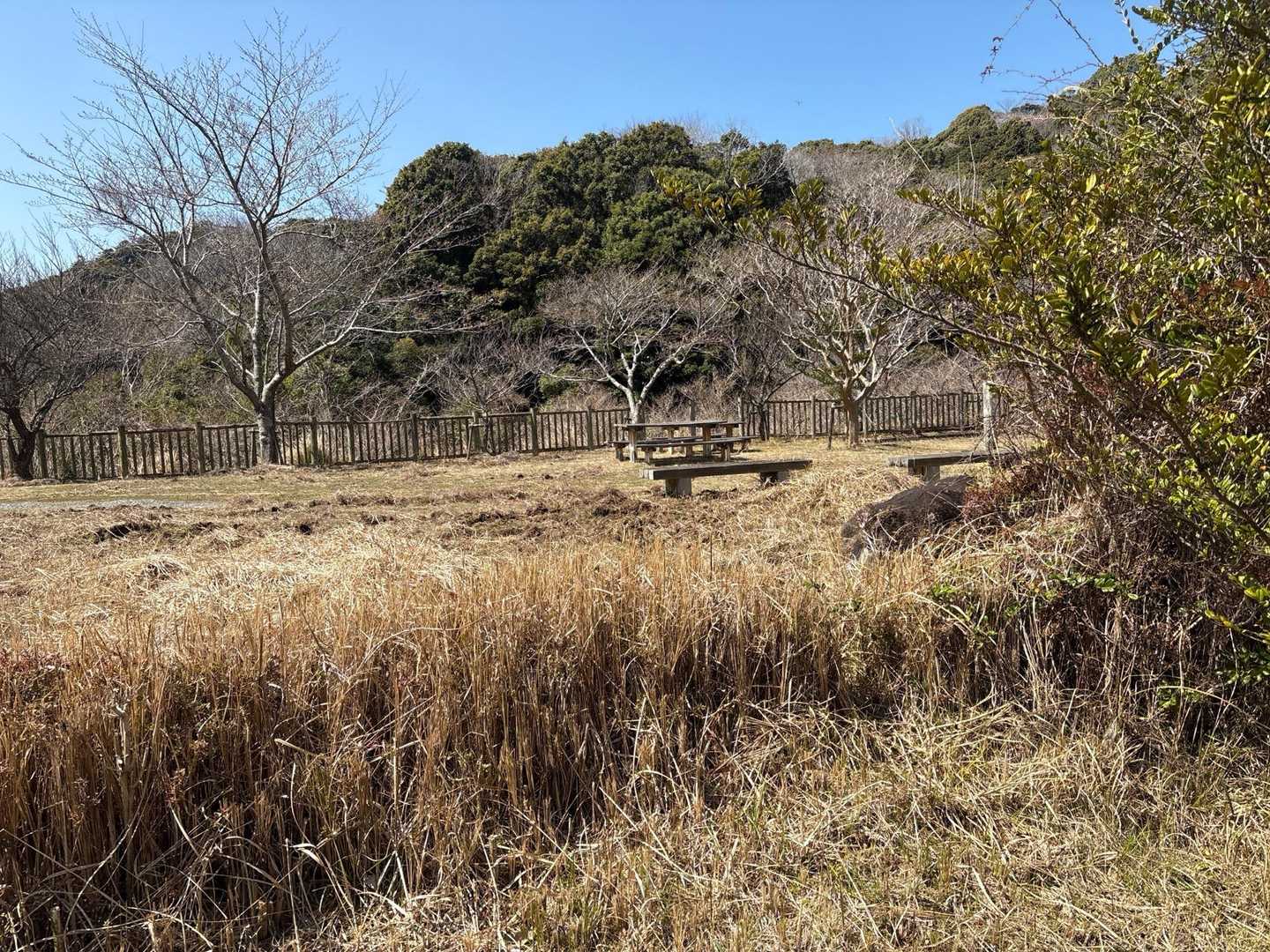 休める