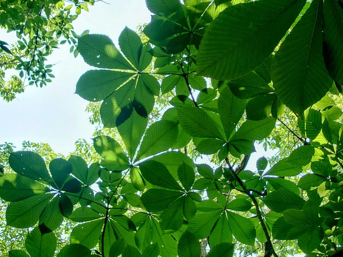 キレイやったので何となく📷