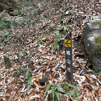 この道標に安心しました