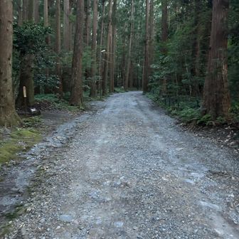 まだちょっと薄暗いし、意外にも涼しく感じた
