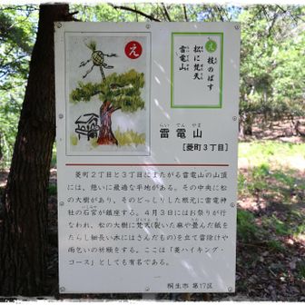 枝のばす 松に梵天 雷電山。