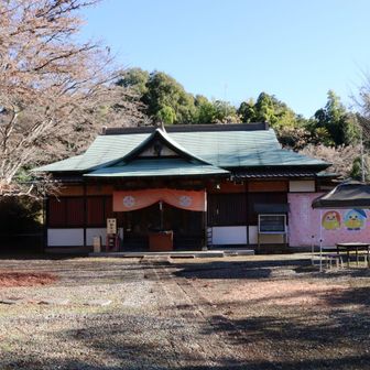 直ぐのところにグレーピークがあったのに逃しました。また、行きたいと思います。