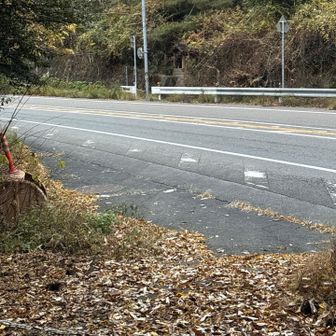 🚗が頻繁に行き来するからここ渡るの怖かった🥶