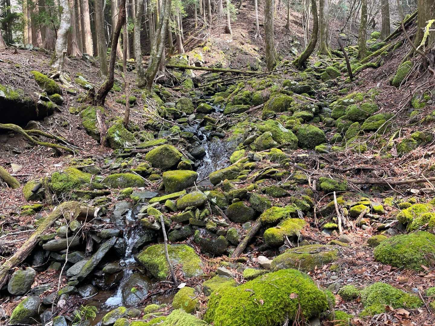 苔むす岩場
