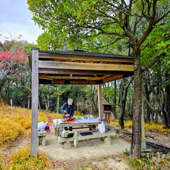 7合目の東谷で、山カフェ☕🎄オープン🌿