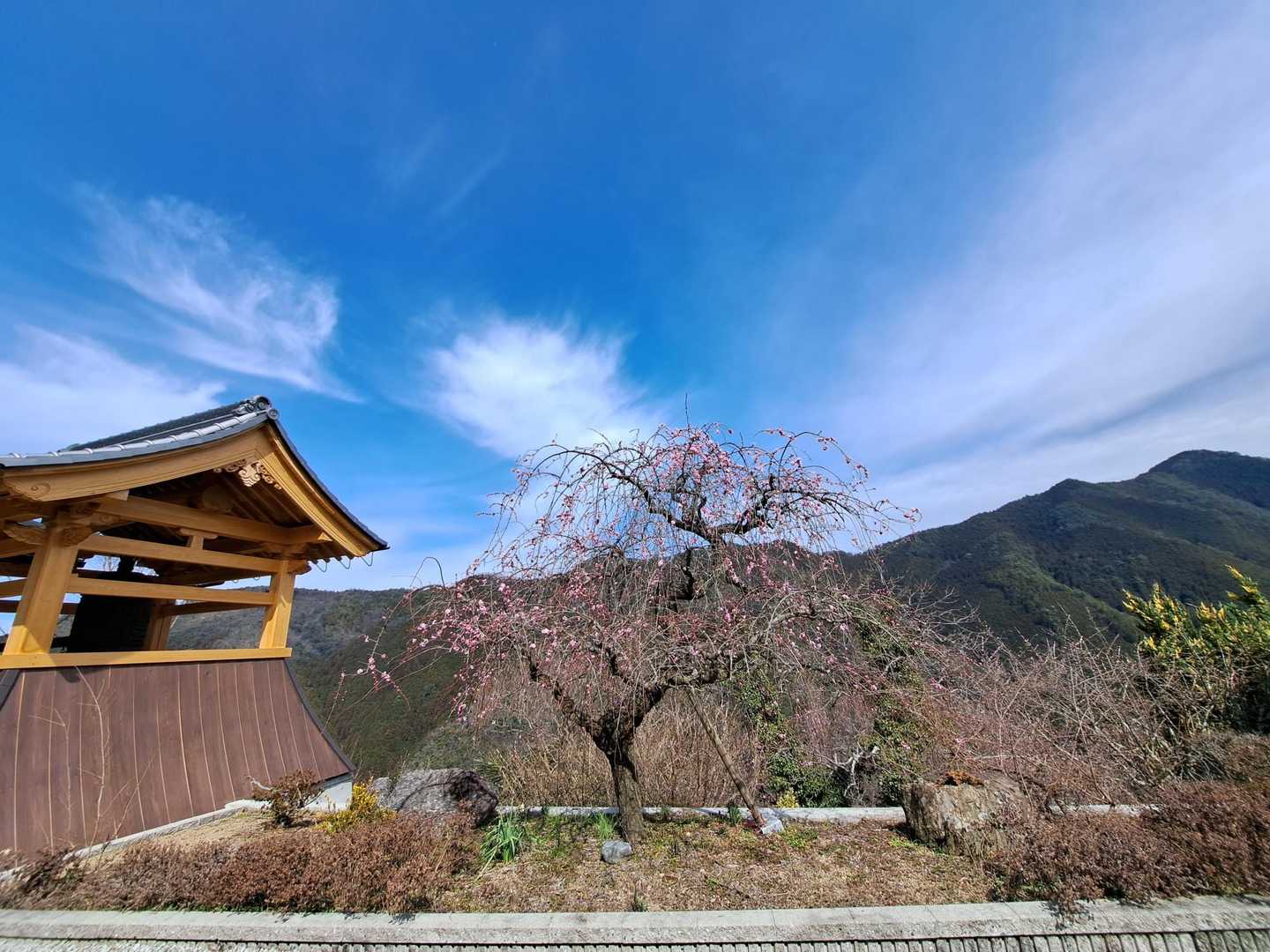 稱名寺-柚野山 周回コースの写真
