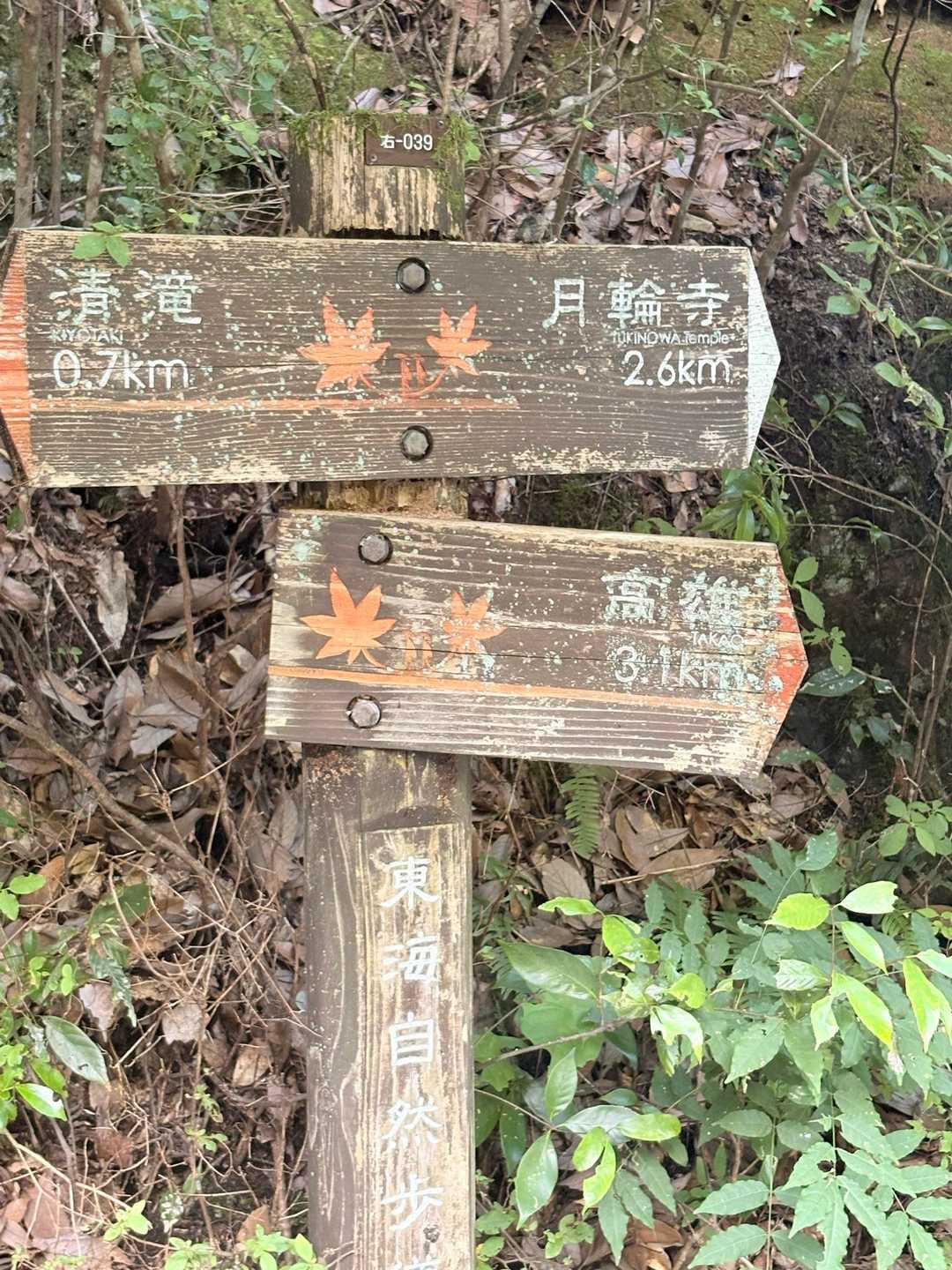 京見峠-上ノ水峠-仏栗峠-福ヶ谷林道登山口-白雲橋-槙ノ尾 縦走コースの写真