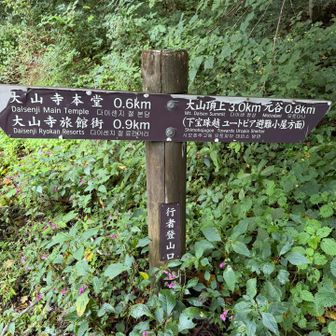 今日はこっちから登ります