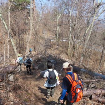 少し下る
右手に車道が見える。
車で来れるんだあ…