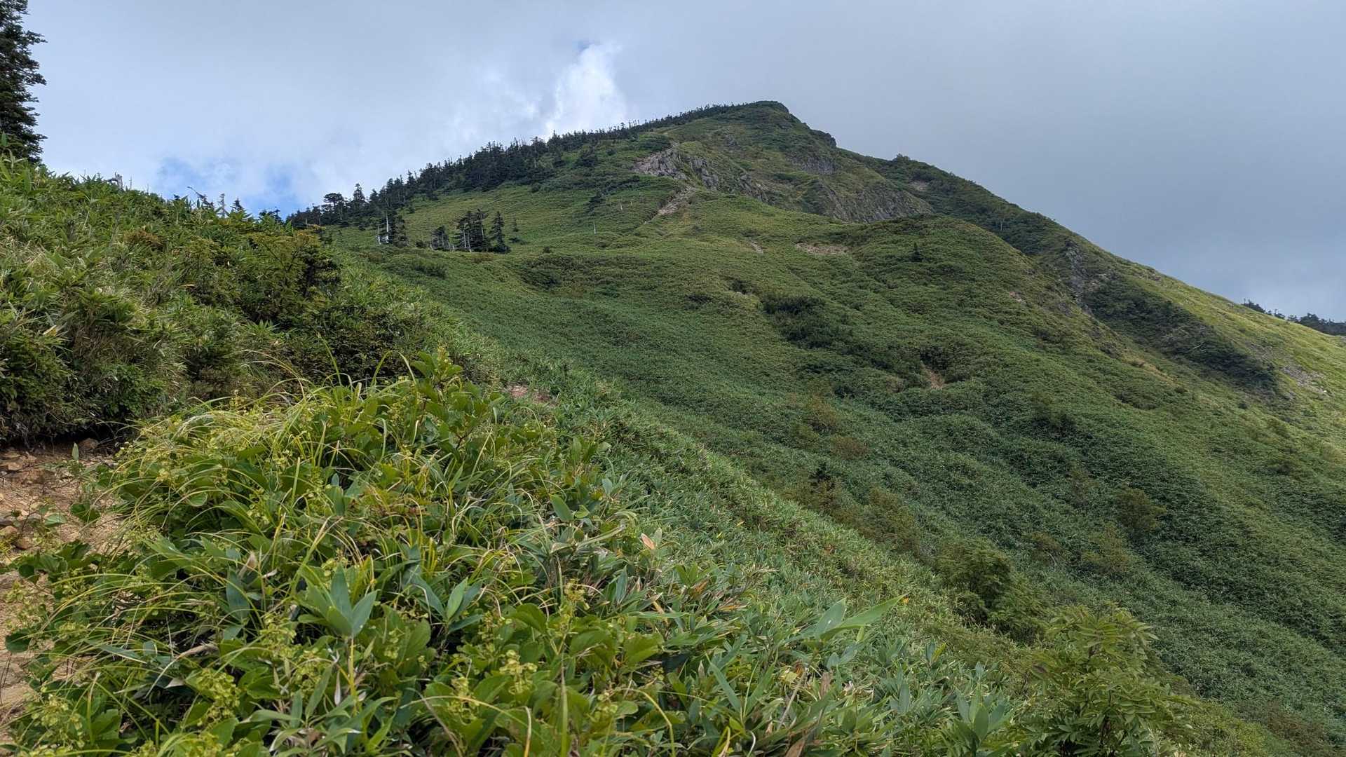 岩菅山登山道入口-岩菅山 往復コースの写真