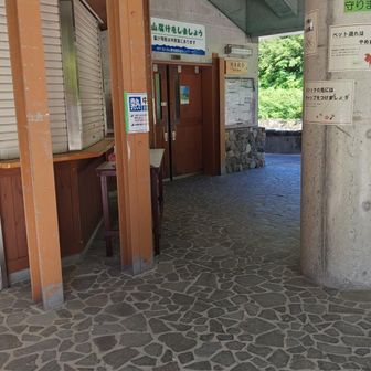 登山センター
トイレ綺麗
自販機は今回使用不可だった