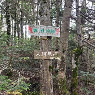 お天気が崩れそうで心配ですが、もう一つピーク取りに行きます💪