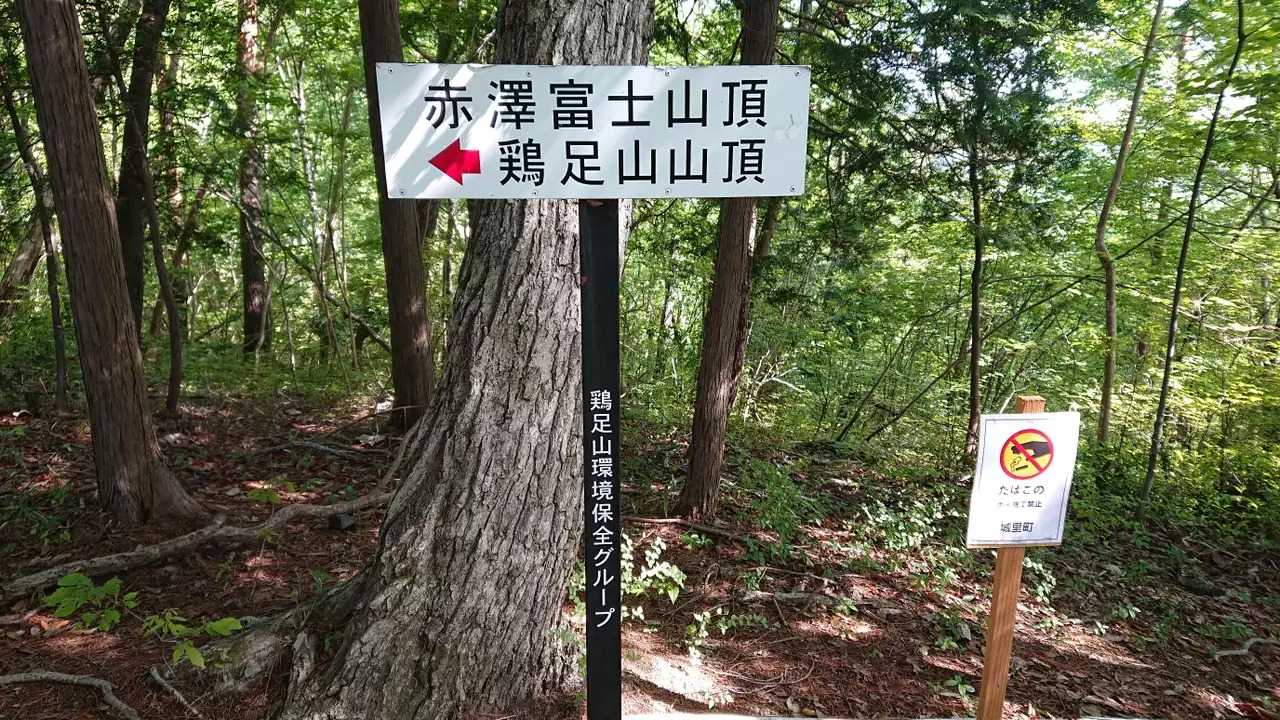赤沢富士の写真