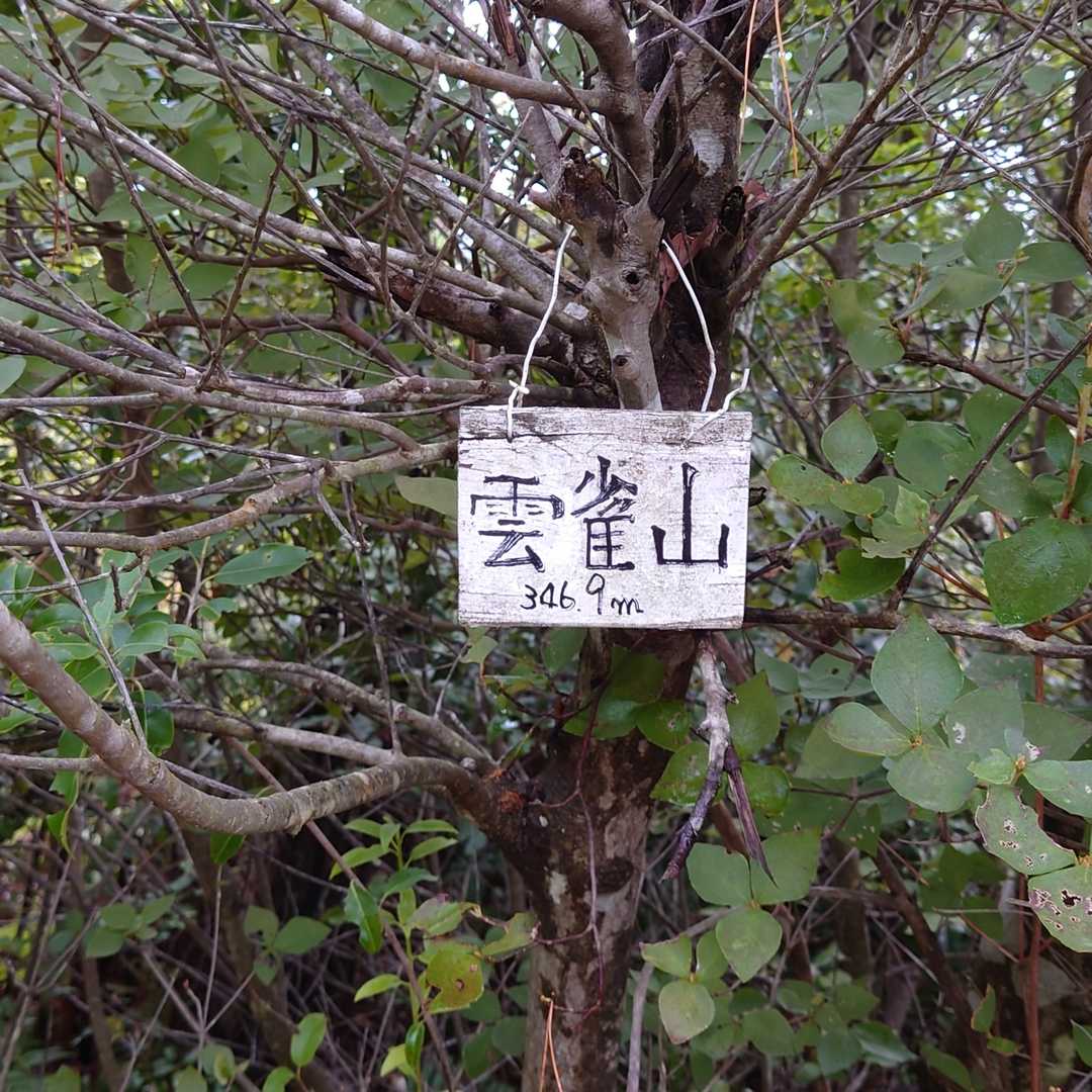 雲雀山山頂到着です😁✌️🎵
かわいいサイズの標識💕