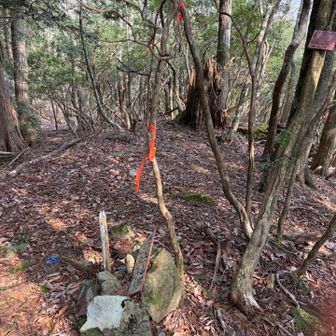 ヒバンダーラに戻ってきた　今日はテンカラも
持参している🎣使わなかったけど
この辺り遊漁券🎫いります