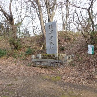 実験終わったので山頂踏んでとっとと帰ろう🐸