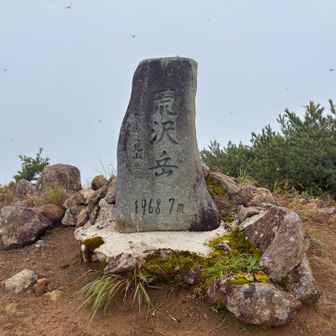 どうやって運んだの？と思ったけど、現地調達かも　トンボがたくさんいる、想像の10倍いる
