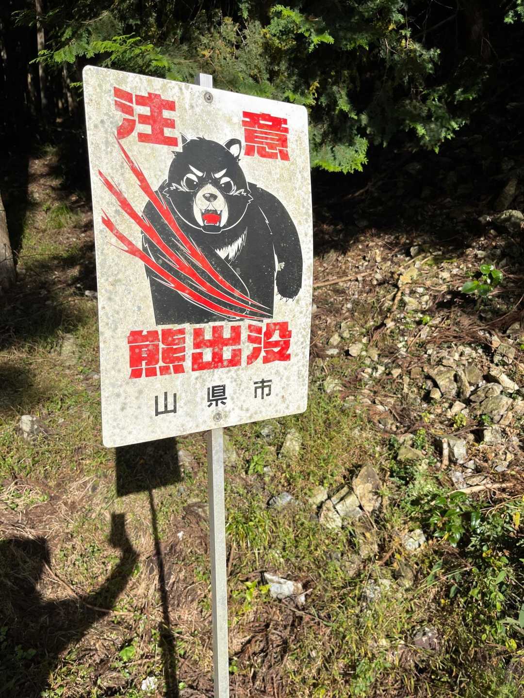 相変わらずのガラの悪い山県市の熊🐻です笑
ベアベル🔔を鳴らしながら行きます