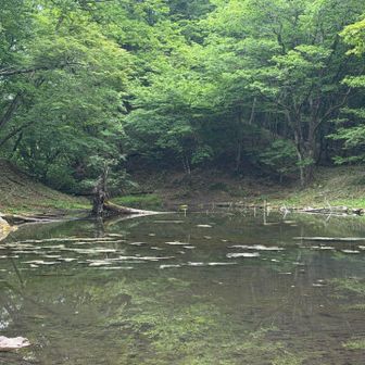 水がきれい