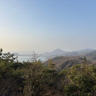 瀬戸内海が見える