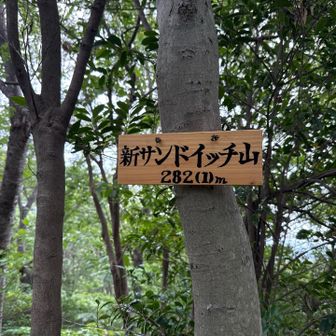 新サンドイッチ山🥪🚩