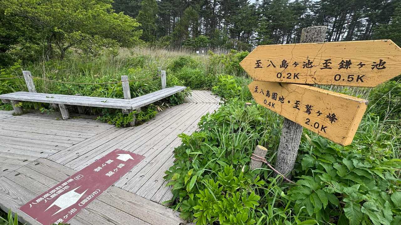 中央分水嶺トレイル（長門牧場〜白樺湖〜八島湿原〜三峰山〜美ヶ原）、2daysスルーハイク の写真 24