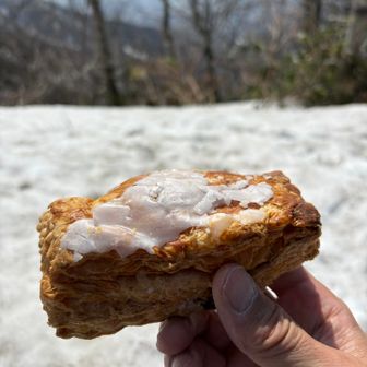 自宅近所にあるパン屋さんの2人分くらいあるフルーツパイ220円、これ最高です！