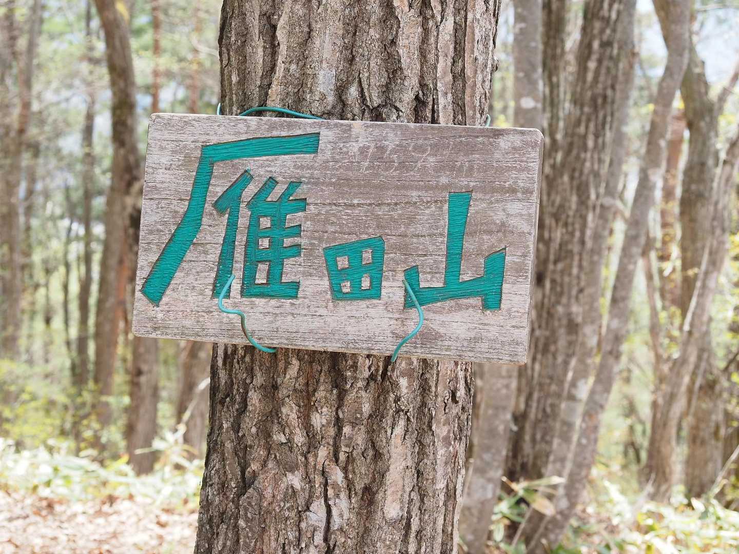 しばらくいくと、本当の山頂🏔️