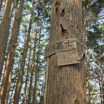 日川峠から直登せずに周り込んで登頂❗