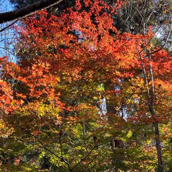 とても綺麗でした🤩