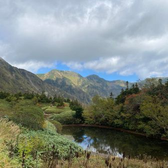 山荘前には多くの登山者
思いおもいに休憩していた

ここから弓折乗越までが
けっこう疲れた
景色の良い一般登山道だったので
比較的 気は楽だったけど