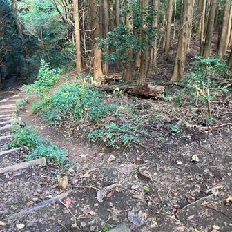 看板ありませんがここで階段を外れて右へ。