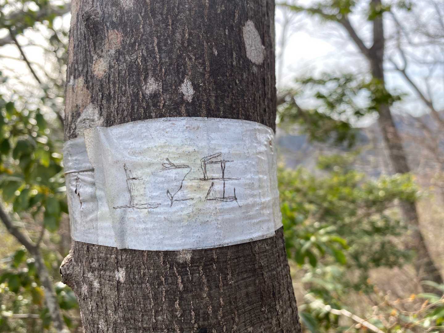 上之岳⛰到着✨
一番手こずりました💦