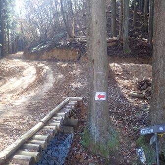 滝谷峠から貴船山まではきれいに整備された林道が続く