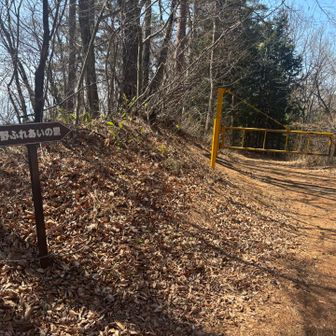 この先にも駐車場があり、そこから登るか迷いました〜