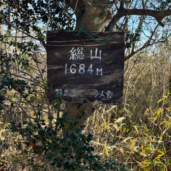 総山